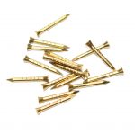 Solid Brass Panel Pins 13mm